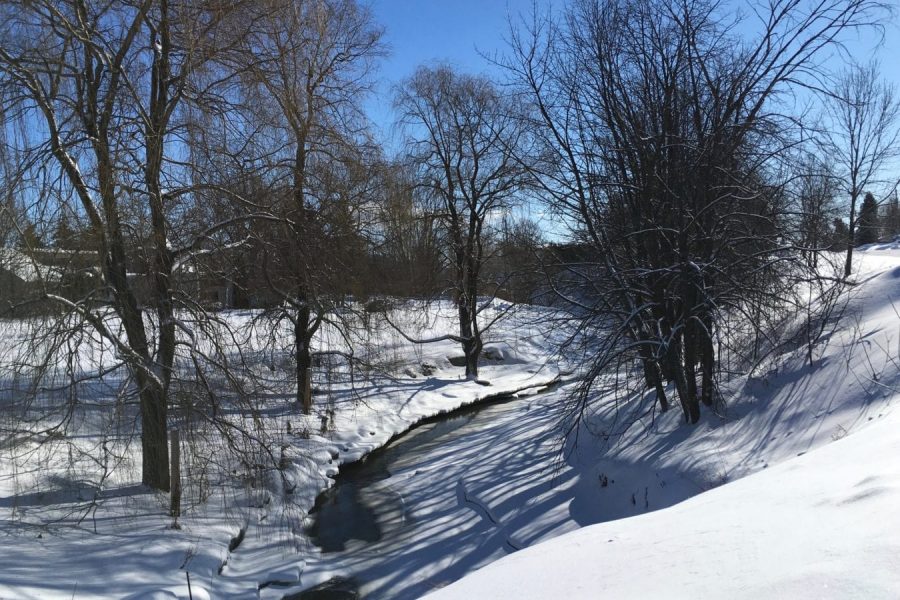 Photo : Jean-Louis Tousignant - Tout au long de son ruisseau