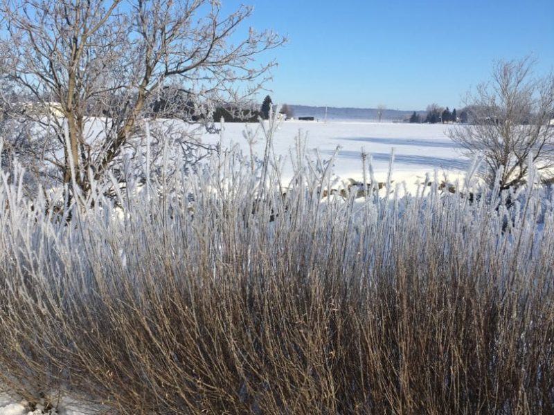 Paysage hivernal