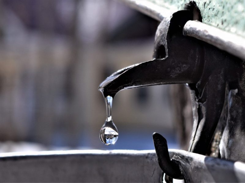 Une goutte de sève qui tombe dans un seau d'eau d'érable