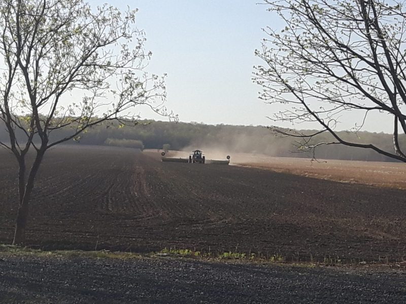 Champ agricole durant les récoltes