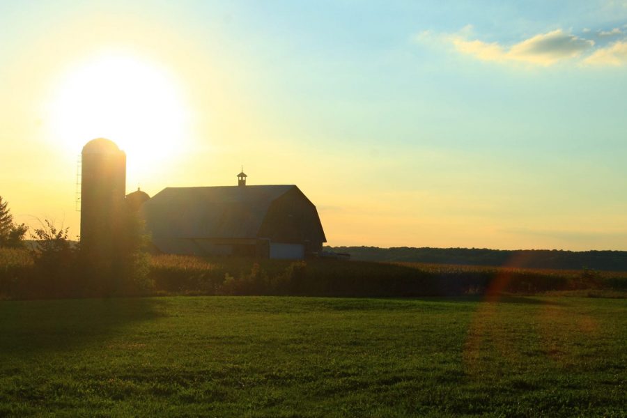 Photo : Yannick Gaudette - Ruisseau Nord l'été